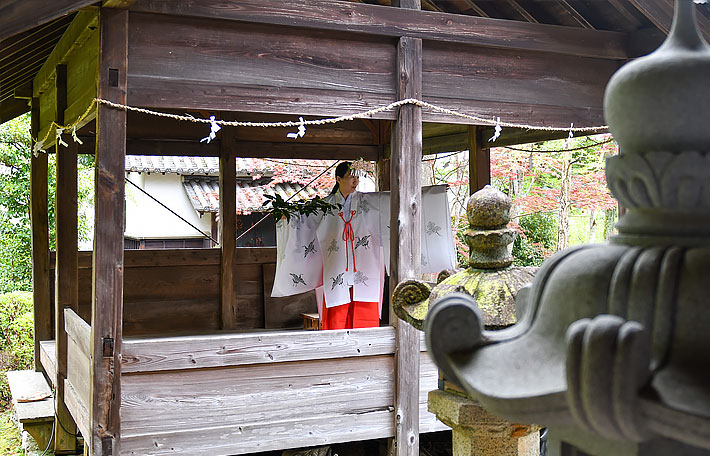 お神楽 春季大祭 野上八幡宮