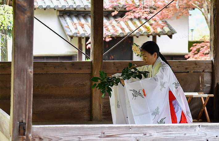お神楽の奉納 春季大祭 野上八幡宮