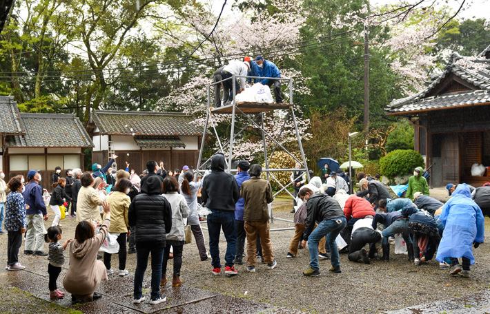 餅投げ神事 野上八幡宮
