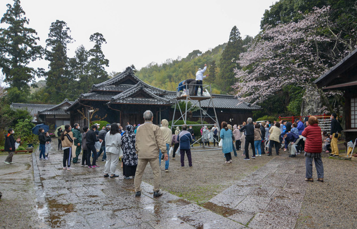 餅投げ神事 野上八幡宮