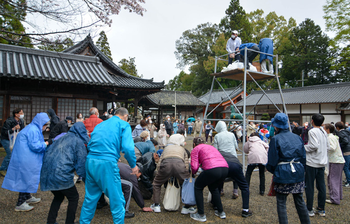 餅投げ神事 野上八幡宮