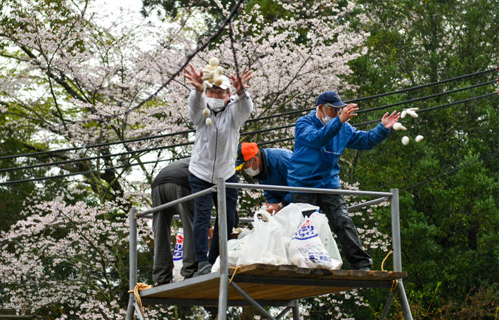 餅撒き神事 野上八幡宮
