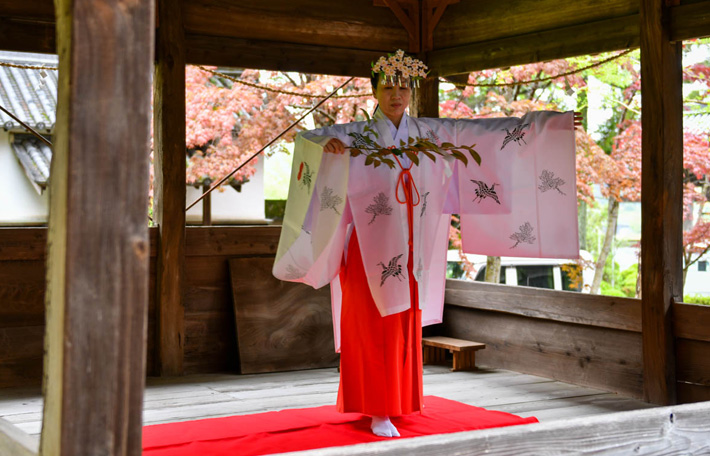 2023年 野上八幡宮 春季大祭