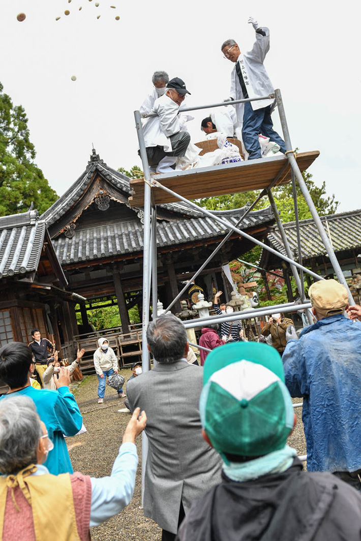 2023年 春季大祭 野上八幡宮 餅まき