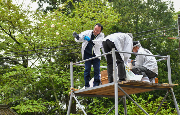 2023年 春季大祭 野上八幡宮 餅まき