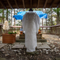 桜祭（八王子厳島神社・祈願堂例祭）を斎行しました