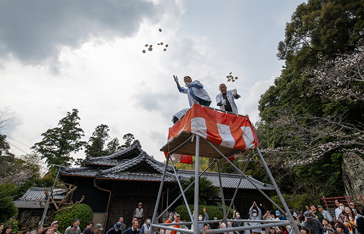 桜祭のあとの餅投げ神事